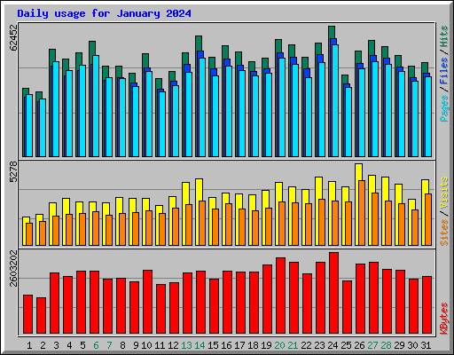 Daily usage for January 2024
