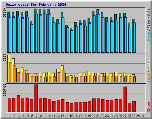 Daily usage for February 2024