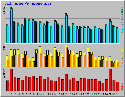Daily usage for August 2024