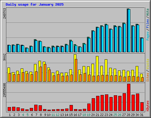 Daily usage for January 2025