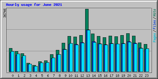 Hourly usage for June 2021