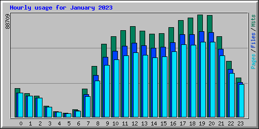 Hourly usage for January 2023