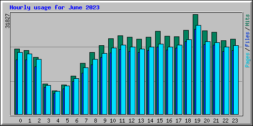 Hourly usage for June 2023