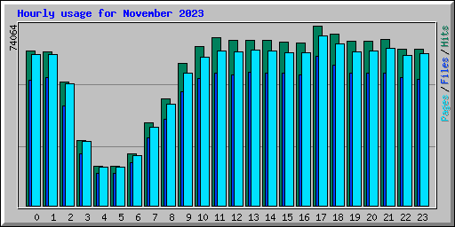 Hourly usage for November 2023