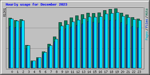 Hourly usage for December 2023
