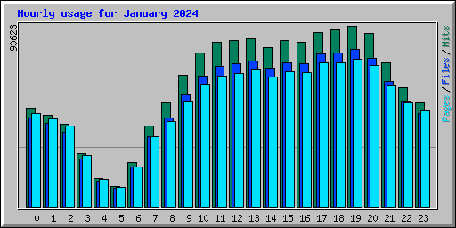 Hourly usage for January 2024