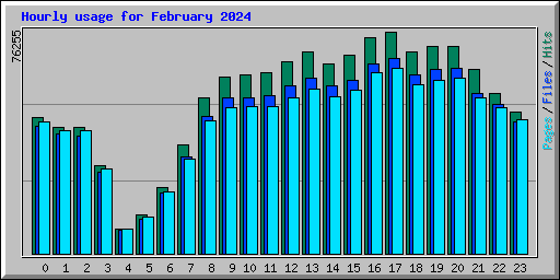 Hourly usage for February 2024