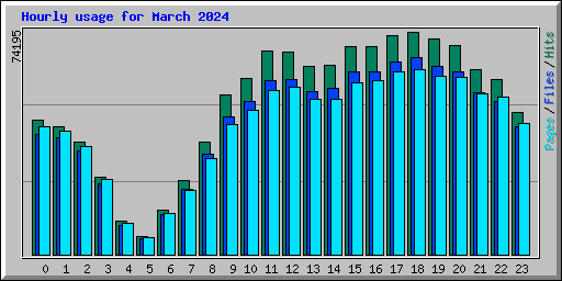 Hourly usage for March 2024