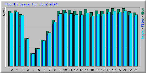 Hourly usage for June 2024