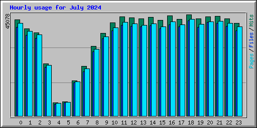 Hourly usage for July 2024