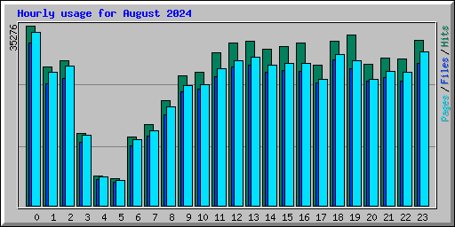 Hourly usage for August 2024