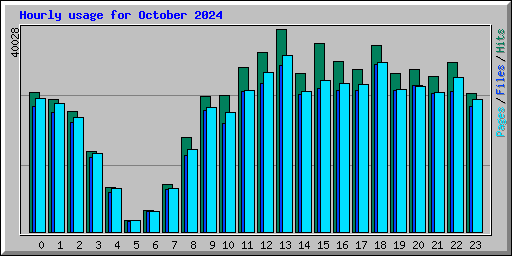 Hourly usage for October 2024