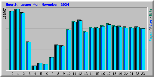 Hourly usage for November 2024