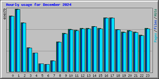 Hourly usage for December 2024