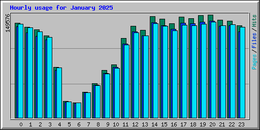 Hourly usage for January 2025
