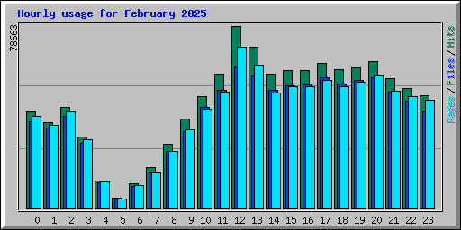Hourly usage for February 2025