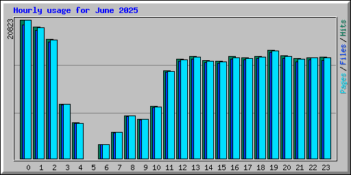 Hourly usage for June 2025